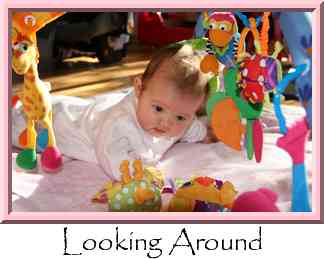 Looking Around Thumbnail