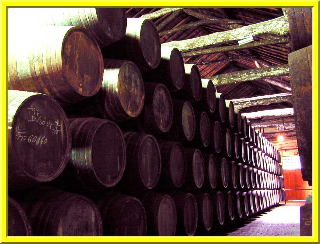 Barrels of Wine