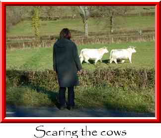 Scaring the cows Thumbnail