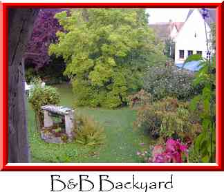 B&B Backyard Thumbnail