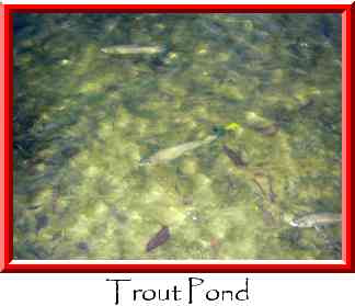 Trout Pond Thumbnail