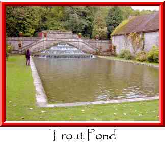 Trout Pond Thumbnail