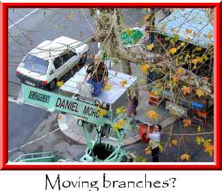 Moving branches? Thumbnail