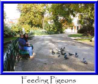 Feeding Pigeons Thumbnail