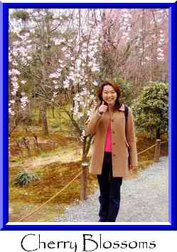 Cherry Blossoms Thumbnail