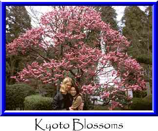 Kyoto Blossoms Thumbnail