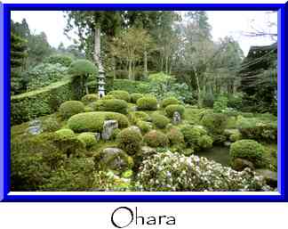Ohara Thumbnail