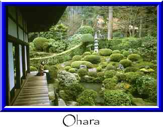 Ohara Thumbnail