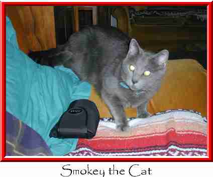 Smokey the Cat Thumbnail
