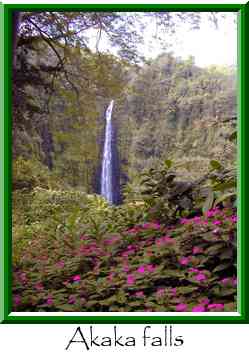 Akaka falls Thumbnail