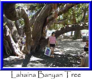 Lahaina Banyan Tree Thumbnail