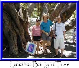 Lahaina Banyan Tree Thumbnail