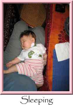Sleeping Thumbnail