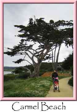 Carmel Beach Thumbnail
