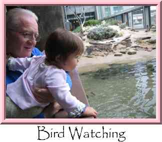 Bird Watching Thumbnail