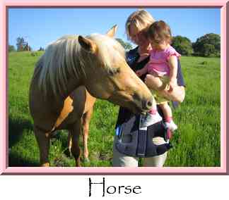 Horse Thumbnail