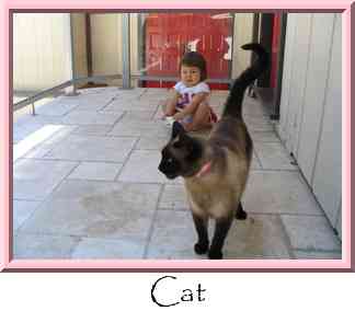 Cat Thumbnail