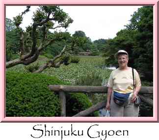 Shinjuku Gyoen Thumbnail