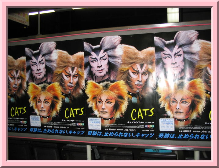 Cats
