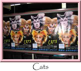 Cats Thumbnail