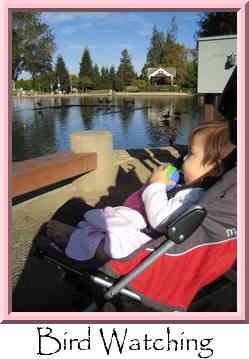 Bird Watching Thumbnail