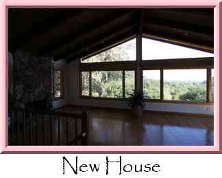New House Thumbnail