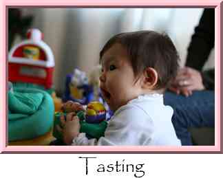 Tasting Thumbnail
