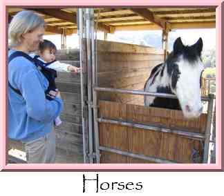 Horses Thumbnail