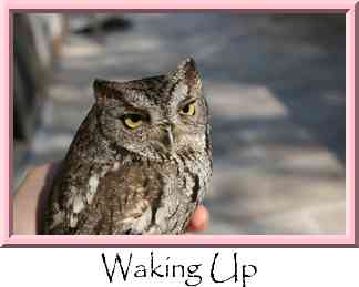 Waking Up Thumbnail