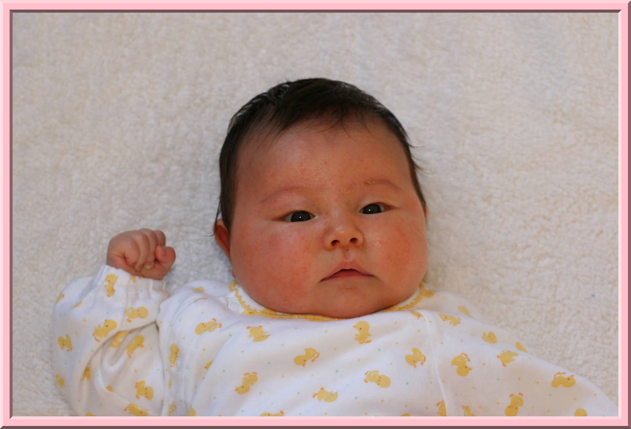 Passport Photo