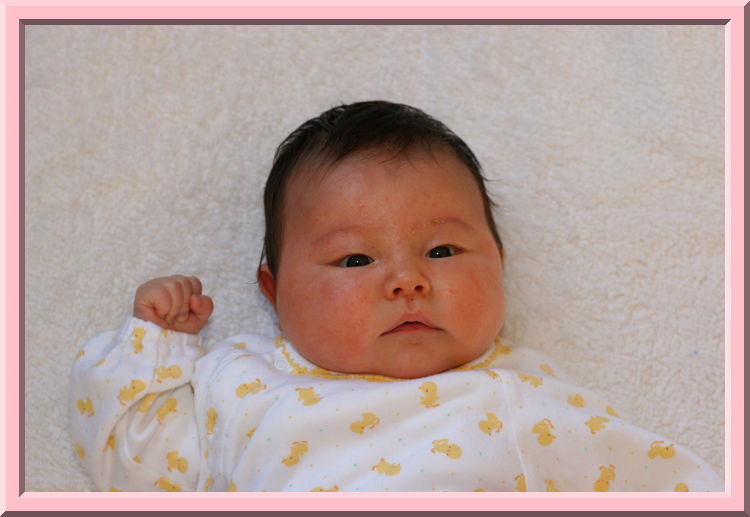 Passport Photo
