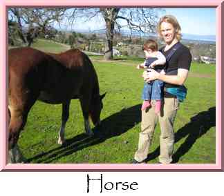 Horse Thumbnail