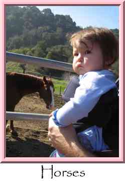 Horses Thumbnail