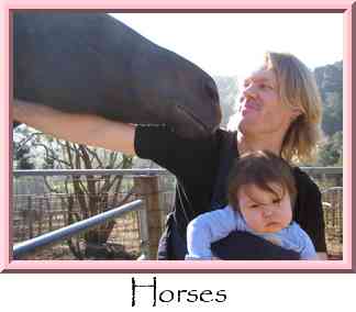 Horses Thumbnail
