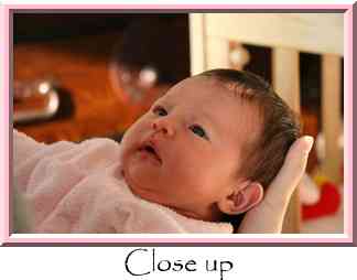 Close up Thumbnail