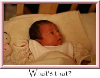 What's that? Thumbnail