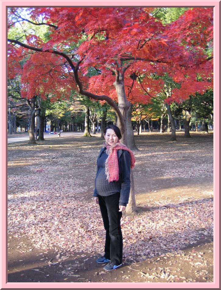 Autumn