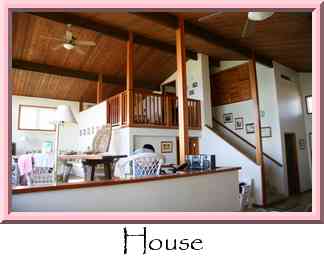 House Thumbnail