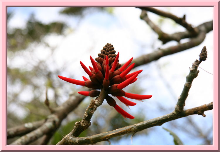 Botanical Gardens