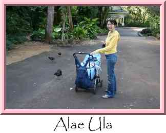 Alae Ula Thumbnail