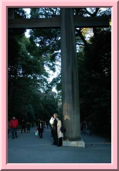 Torii