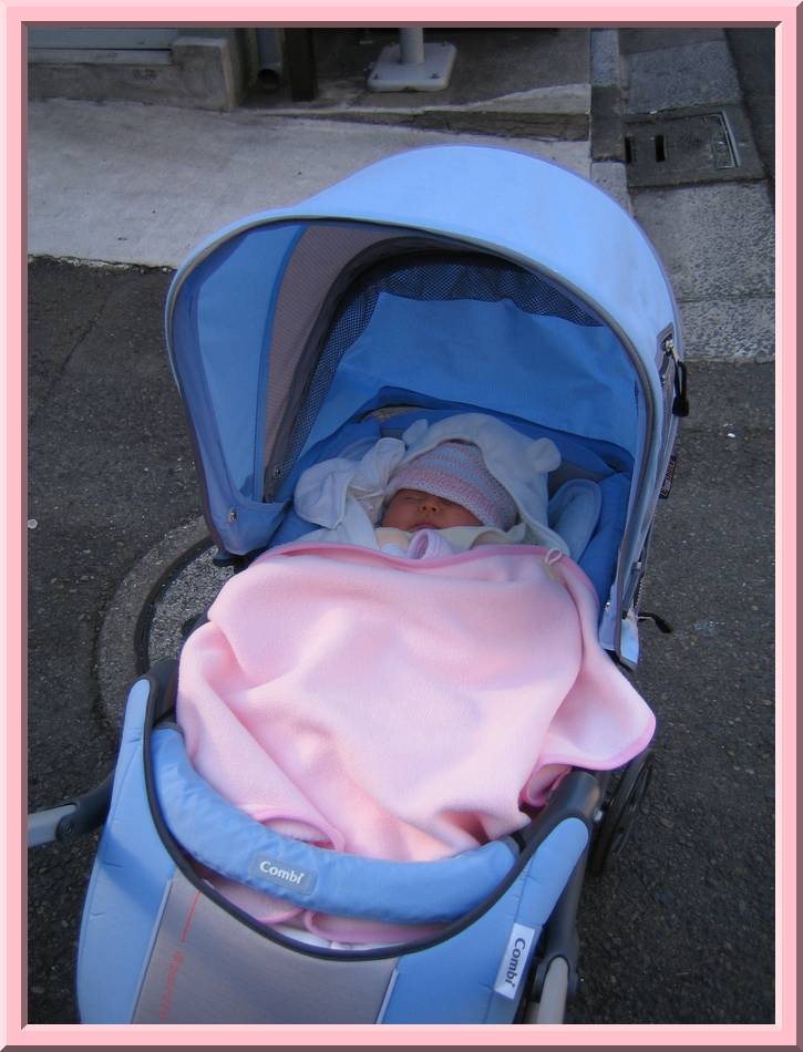 Stroller