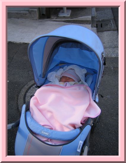 Stroller