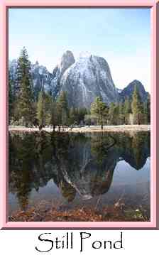 Still Pond Thumbnail