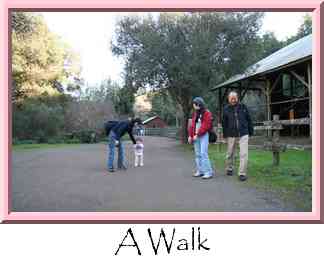 A Walk Thumbnail