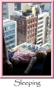Sleeping Thumbnail