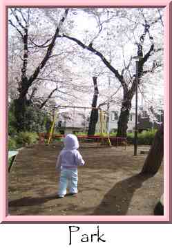 Park Thumbnail