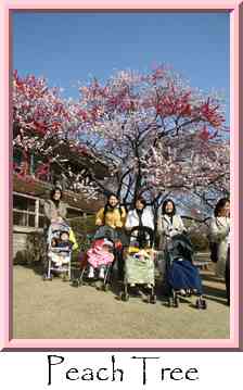 Peach Tree Thumbnail