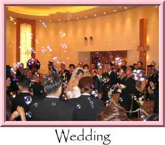 Wedding Thumbnail