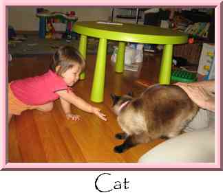 Cat Thumbnail
